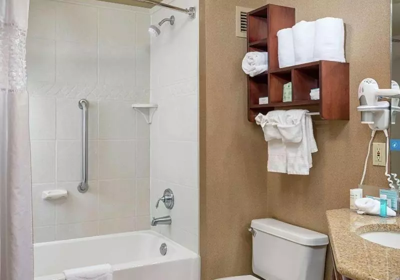 スタンダードシングルルーム, Stella D Italia