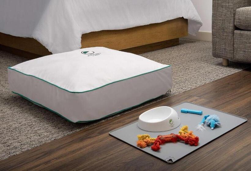 מיטת קינג בסוויטה, Element Jacksonville Beach