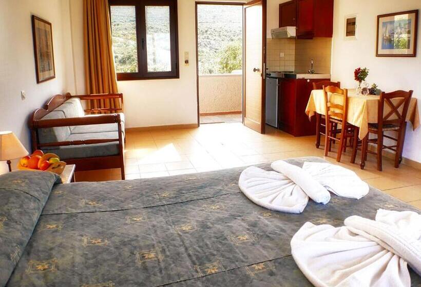 חדר סטודיו סטנדרד, Areti Aparthotel