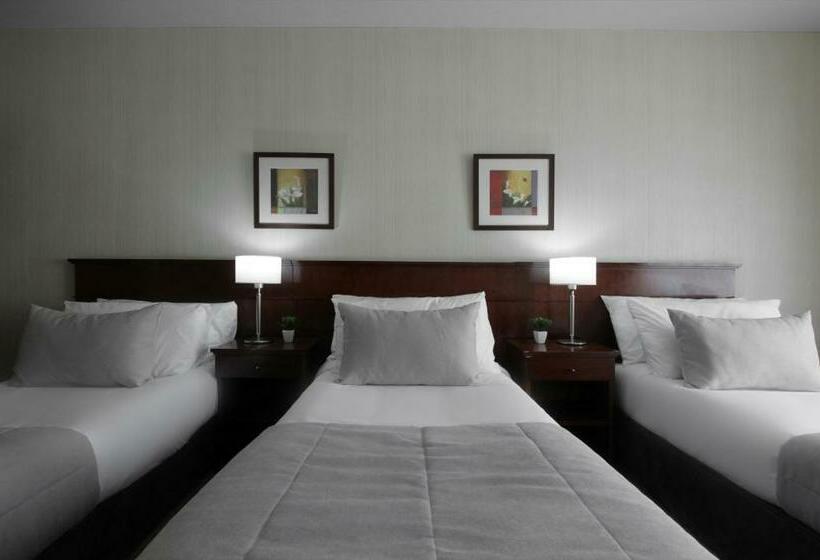 اتاق سوپریور سه تخته, 8 De Octubre