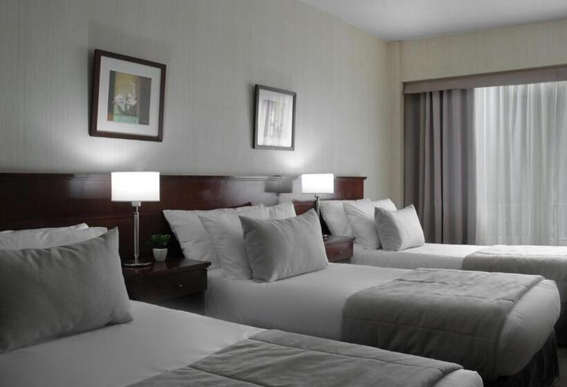 اتاق سوپریور سه تخته, 8 De Octubre