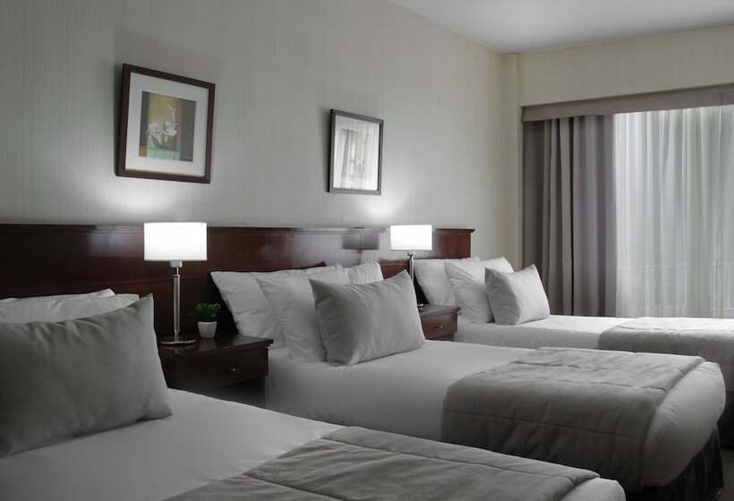 اتاق سوپریور سه تخته, 8 De Octubre