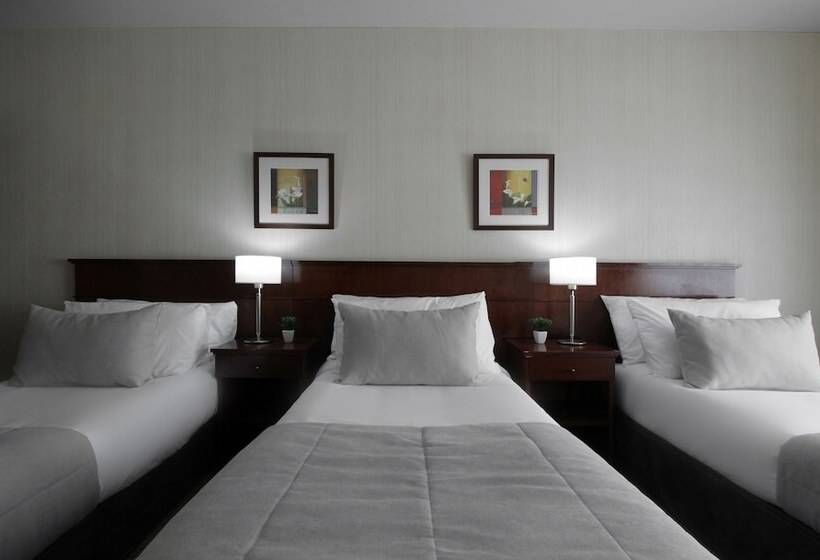 اتاق سوپریور سه تخته, 8 De Octubre