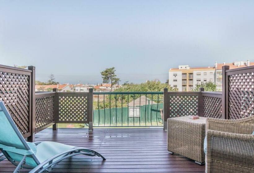 Номер Стандарт, Dom Vasco