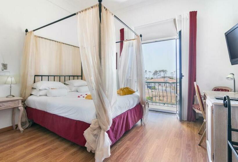 Номер Стандарт, Dom Vasco