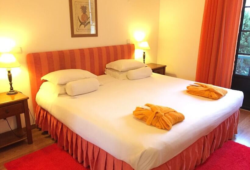 Номер Стандарт, Dom Vasco