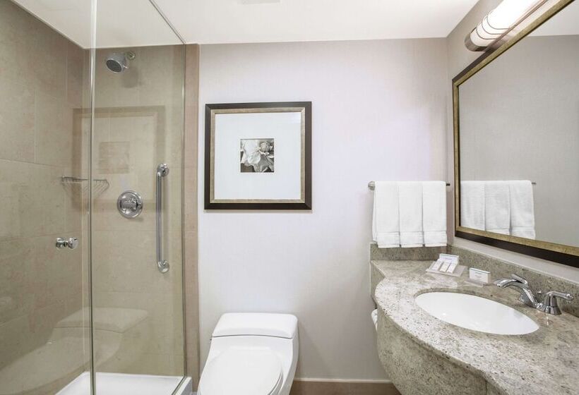 带2个双人床的标准工作室, Hilton Garden Inn New York/west 35th Street