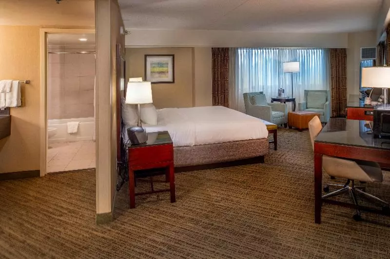 اتاق استاندارد, Holiday Inn Express Rosario, An Ihg
