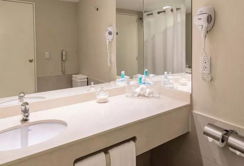 سوییت, Holiday Inn Express Rosario, An Ihg