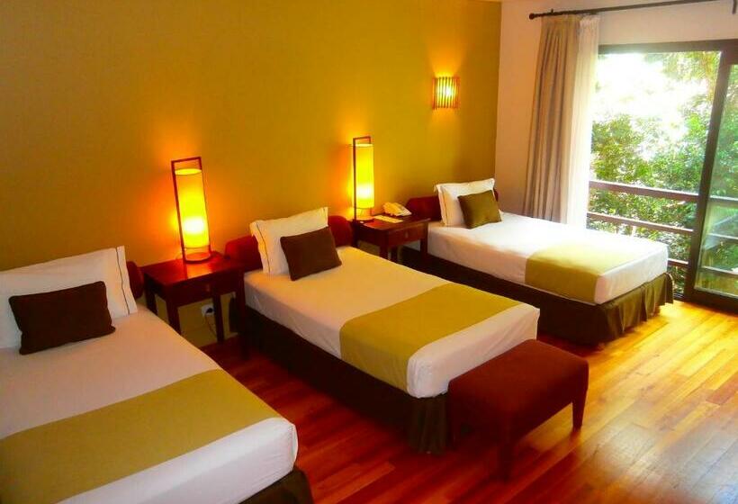 Студия Стандарт, Loi Suites Iguazu