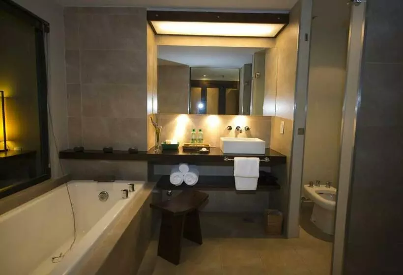 استودیو استاندارد با تراس, Loi Suites Iguazu