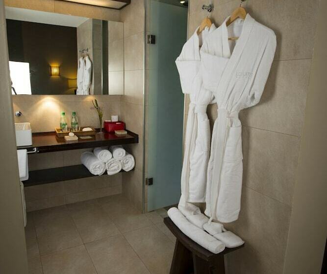 Люкс, Loi Suites Iguazu