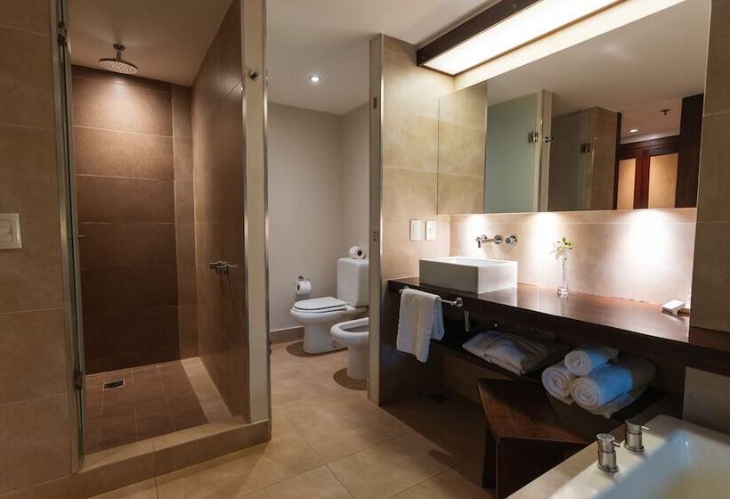 스탠다드 스튜디오, Loi Suites Iguazu