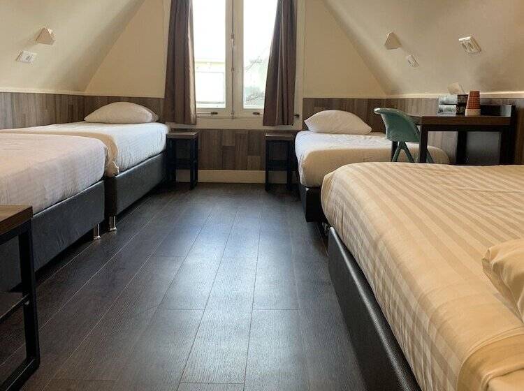 ベーシック４人部屋, Orange Tulip