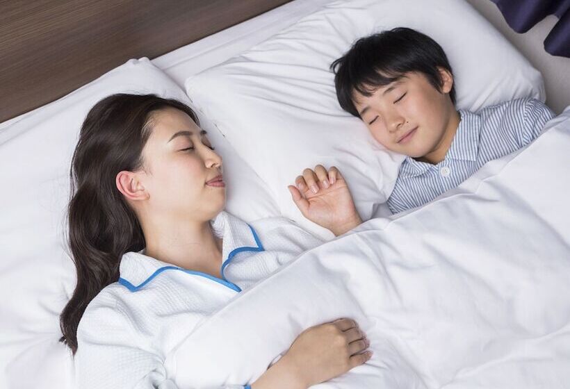 Номер Стандарт, Comfort Hotel Nagoya Meiekiminami