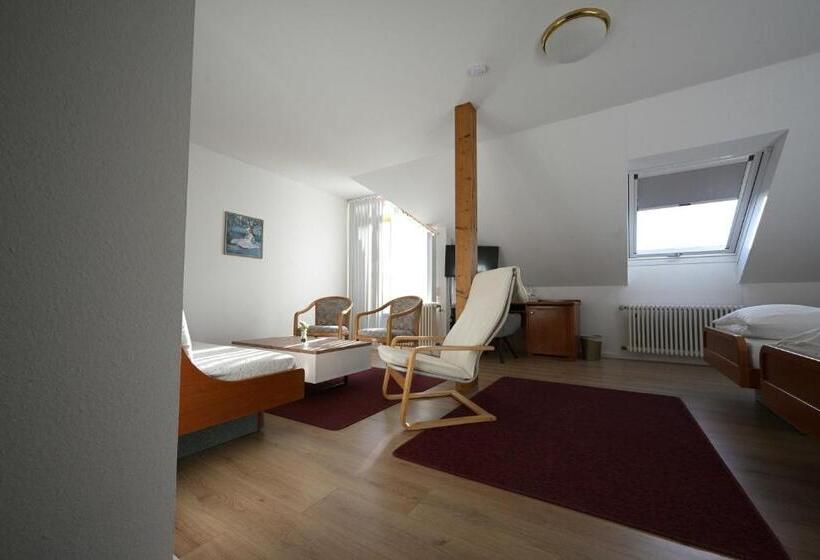Студио Стандарт с Балконом, Landhotel Hirsch