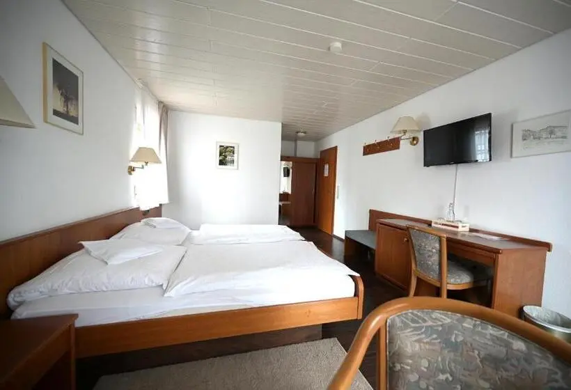 身障者適用スタンダードルーム, Landhotel Hirsch