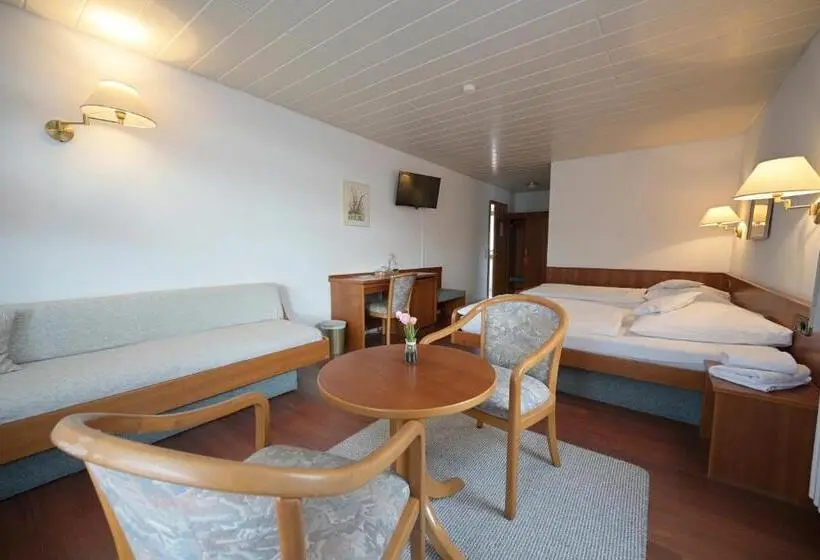 身障者適用スタンダードルーム, Landhotel Hirsch