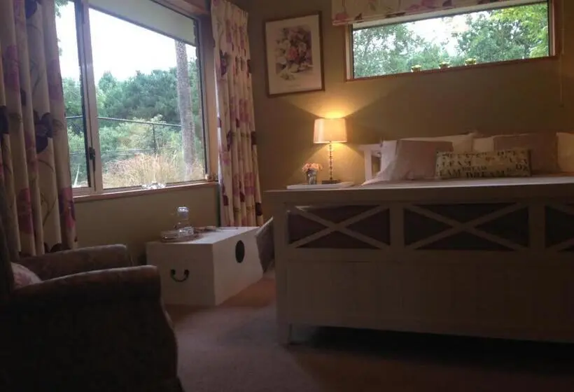 Deluxe-huone, Newlands Bed And Breakfast