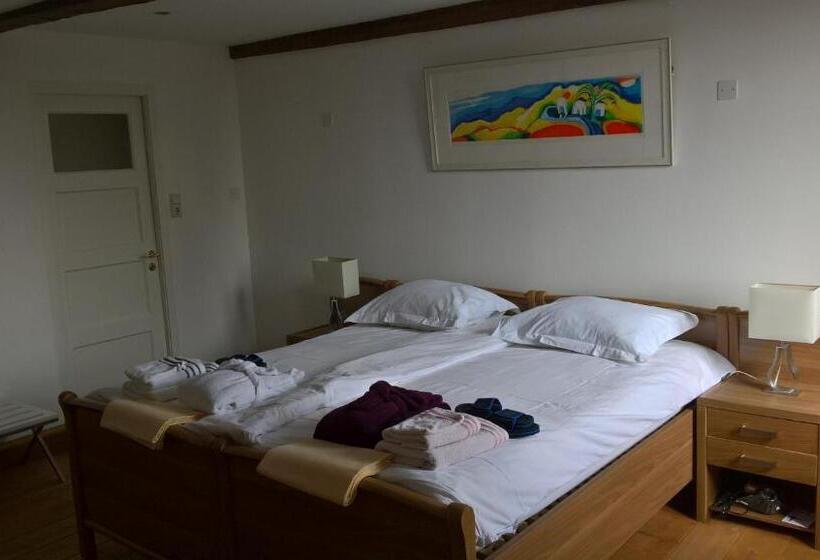 חדר סופריור עם מיטת קינג, Troubadour