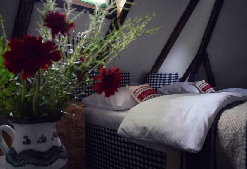 标准间, Iz De Maramures Rural