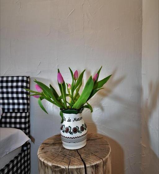 标准间, Iz De Maramures Rural