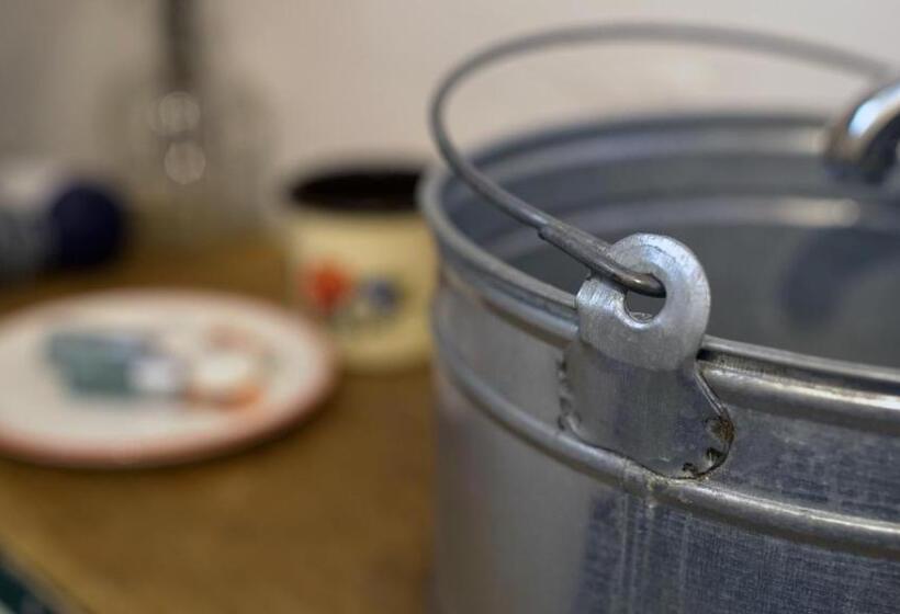 标准间, Iz De Maramures Rural