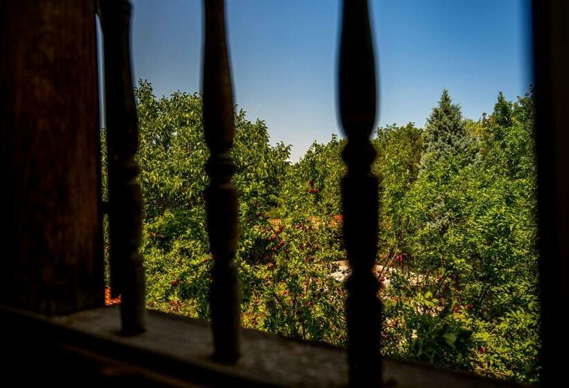 غرفة ديلوكس فردية, Paphlagonia Yoruk Muratoglu Konak