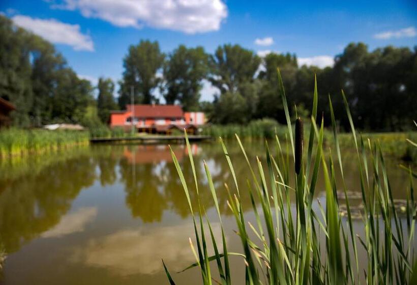 בונגלו משפחתי, Penzion Amfík Bukovina