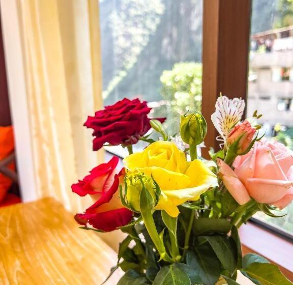 اتاق استاندارد با چشم‌انداز کوهستان, Rupa Rupa High Jungle Eco B&b