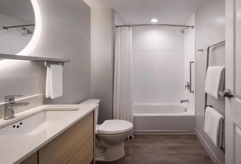 クイーンベッドのスタンダードスタジオ, Towneplace Suites By Marriott West Kelowna