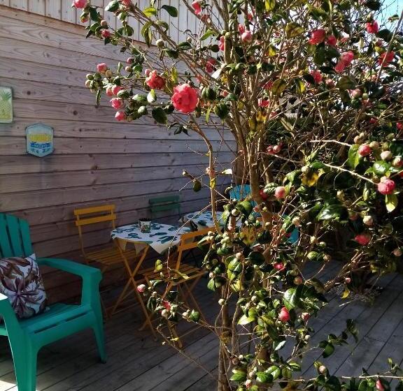 Четырехместный Номер Стандарт, O Douceurs Sucrées Cabourg