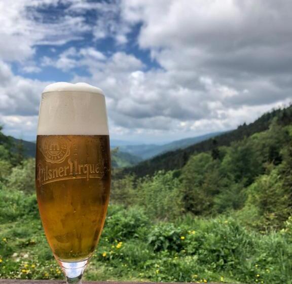 家庭套房, Motorest Ski čertovica