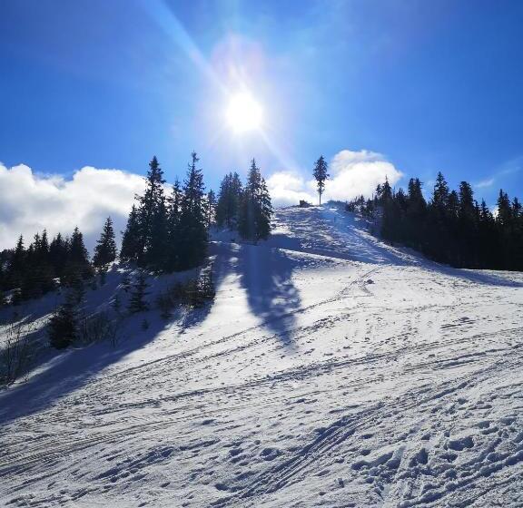 家庭套房, Motorest Ski čertovica