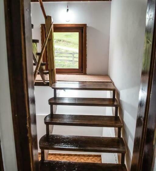 חדר סטנדרט לשלושה, Pensiunea Amalia