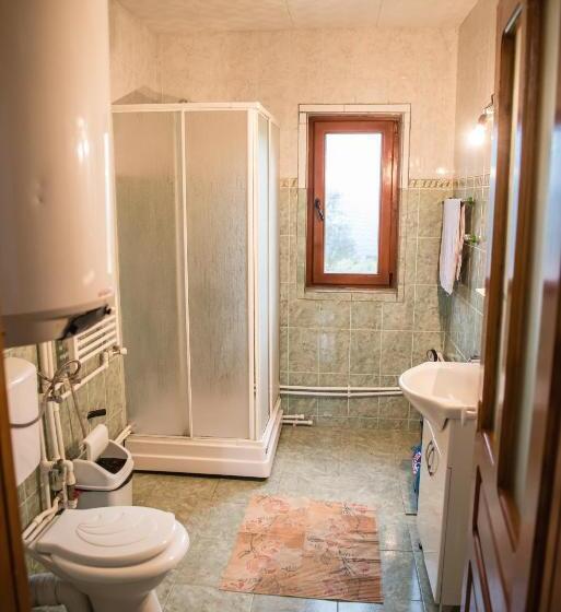 חדר סטנדרט לשלושה עם חדר אמבטיה משוף, Pensiunea Amalia