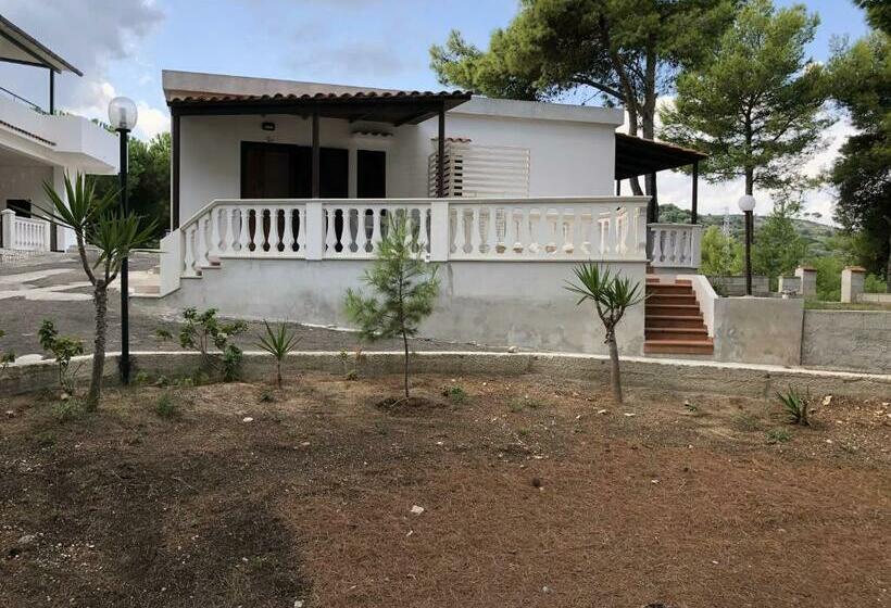 استودیوی استاندارد, Residence Carabella