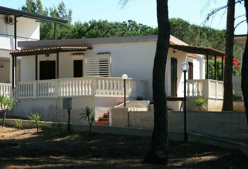 Студия Стандарт, Residence Carabella