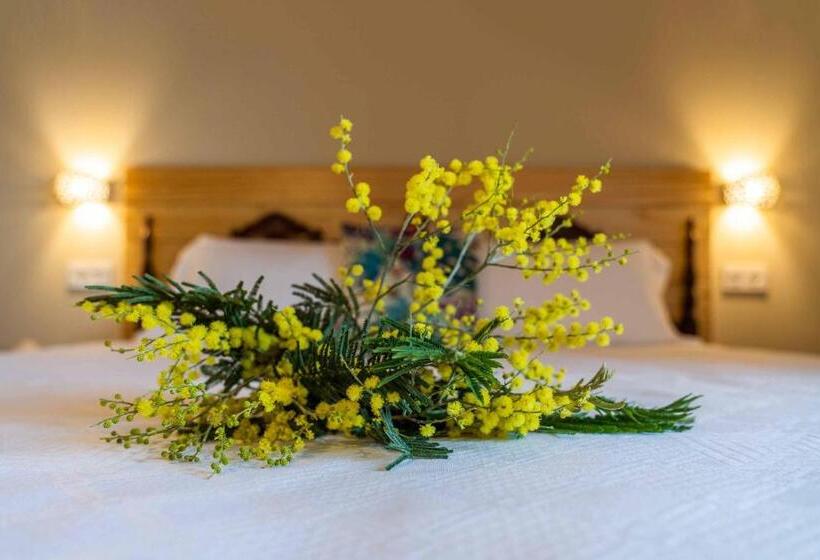 شقة غرفة واحدة ذات إطلالة, O Viso Ecovillage   Hotel Ecologico Vegano