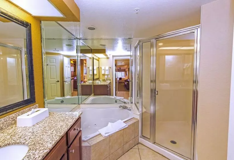 استودیوی استاندارد, Apartamentos Vibra Tropical Garden