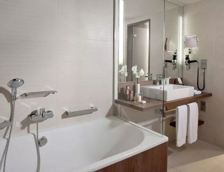 プレミアムルーム, Melia Düsseldorf