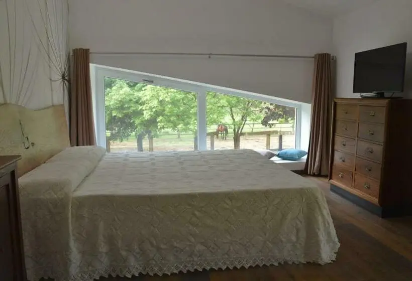 Standard-huone, Agriturismo Castolda