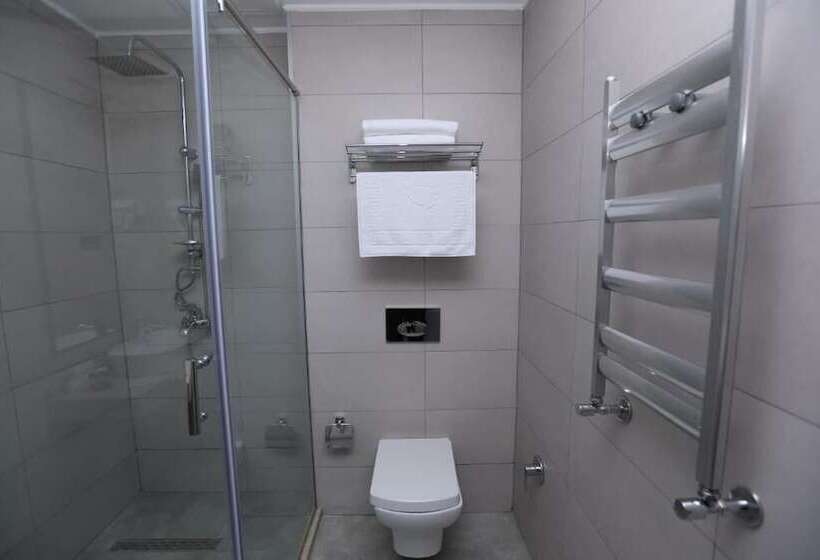 استودیوی استاندارد, Premium Park