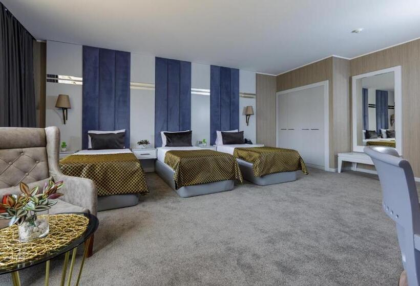 اتاق استاندارد سه نفره, Premium Park