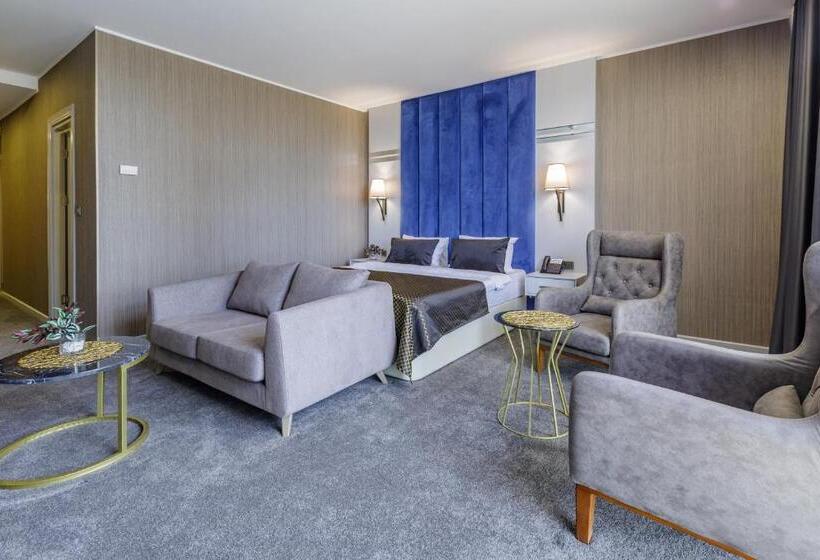 استودیوی استاندارد, Premium Park