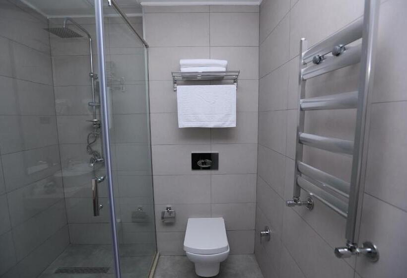 استودیوی استاندارد, Premium Park