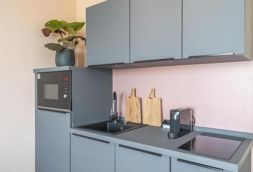 آپارتمان 1 خوابه, Arbio I Rooms & Apartments Freiburg