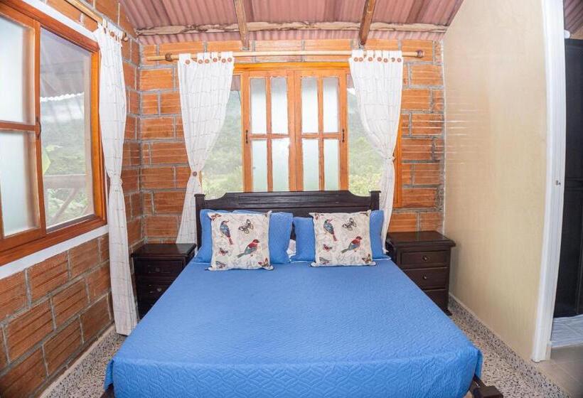 Номер Стандарт с Балконом, Finca Hotel Betel