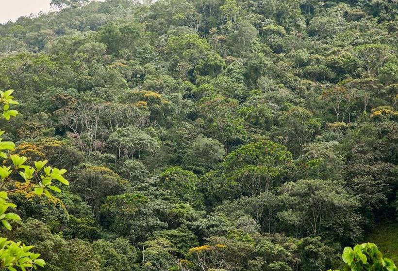 패밀리 룸, Finca Hotel Betel