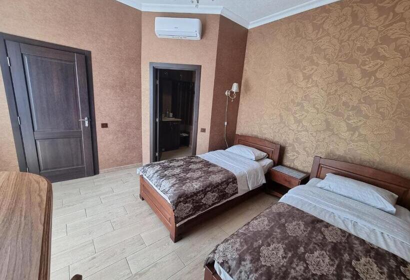 テラス付きスタンダードルーム, ник аэро